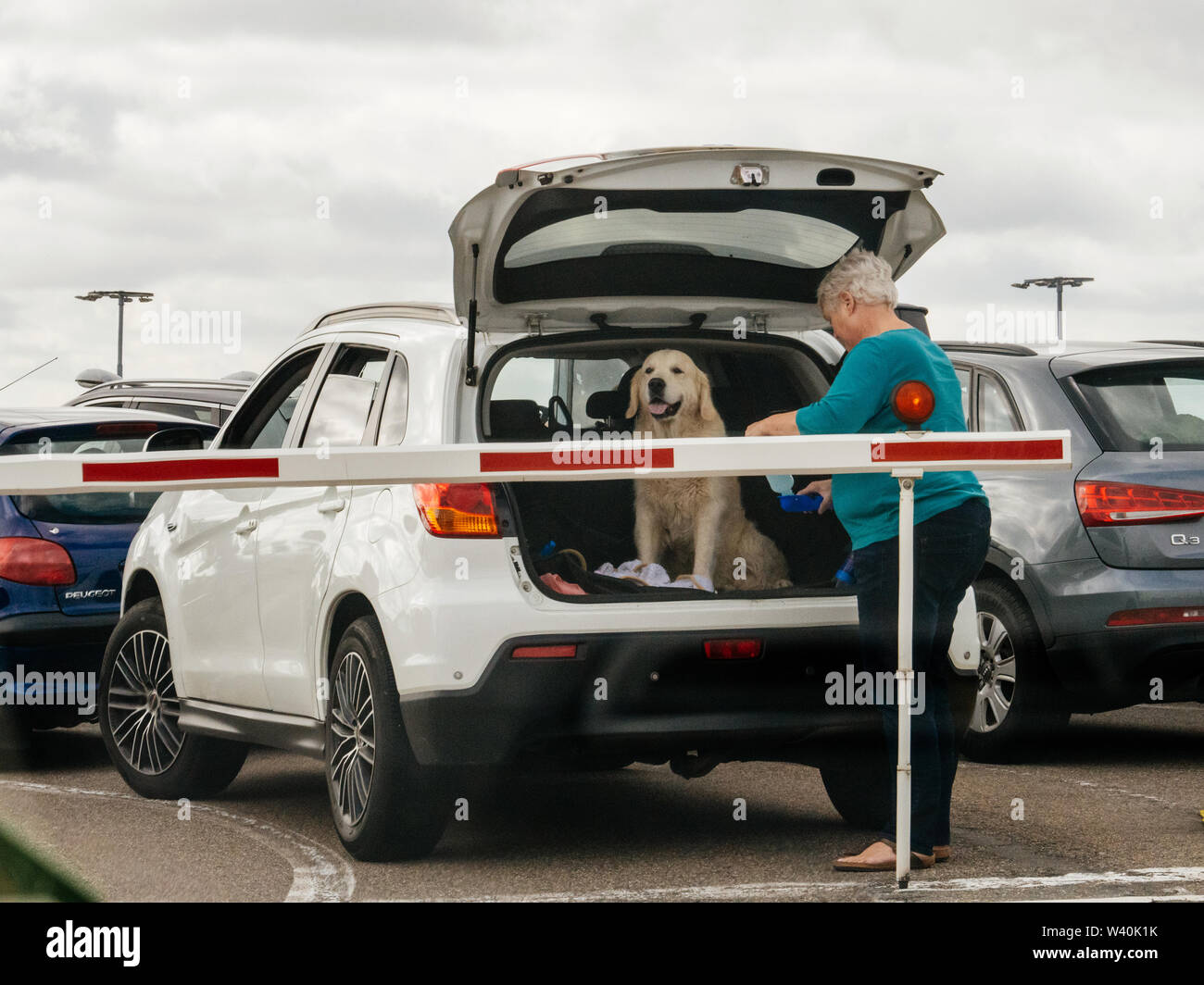 Havenplein, Pays-Bas - Aug 18, 2018 : Senior woman with dog in SUV coffre de voiture en attente de l'embarquement sur le ferry boat dans le port ferry TESO Banque D'Images