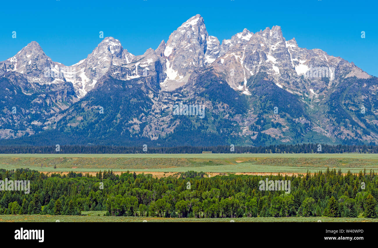Le Grand Teton panorama de montagnes en été avec pinède, Grand Teton National Park, Rocky Mountains, Wyoming, United States of America, USA. Banque D'Images