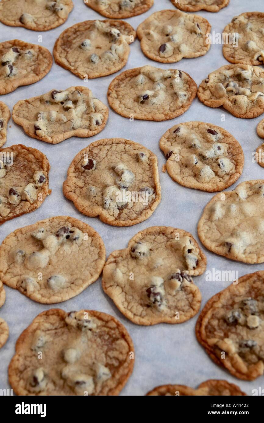 Un lot de fraîchement cuit au chocolat chip cookies. Banque D'Images