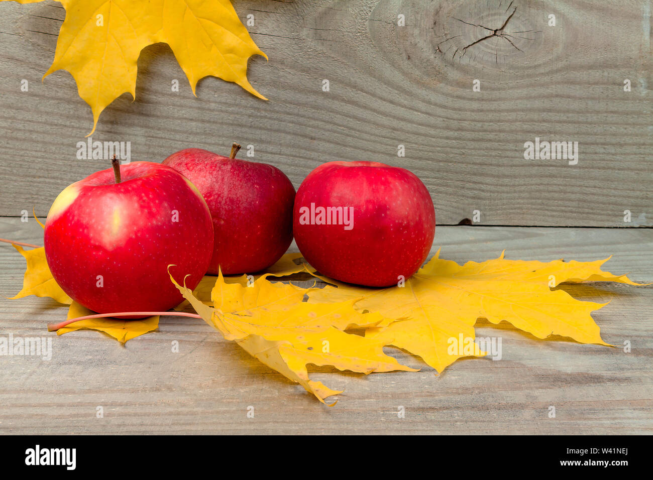 Les pommes avec des feuilles d'érable jaunes reposent sur des planches de bois. Banque D'Images