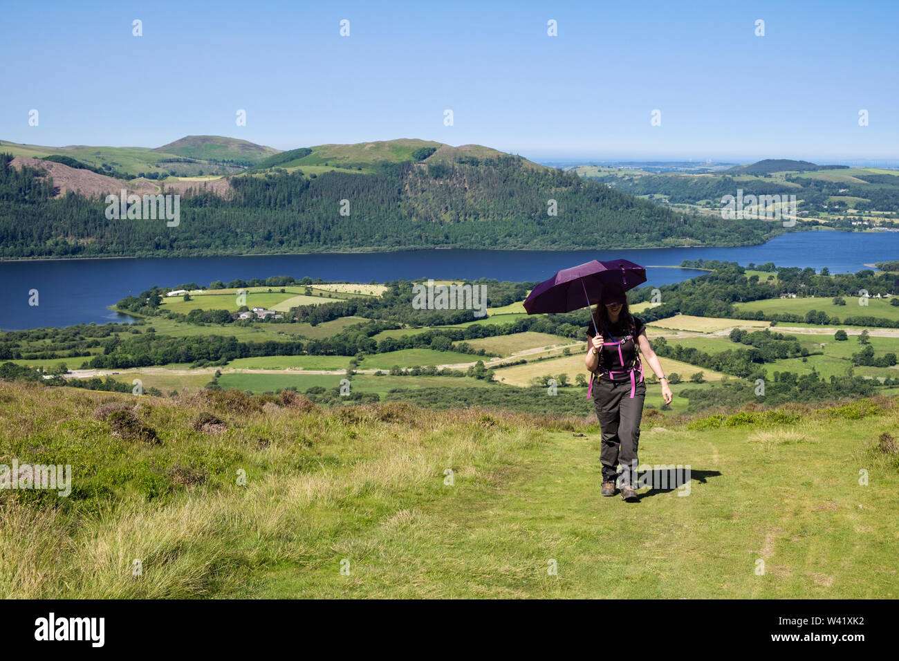 Walker en utilisant un parapluie femme comme un parasol sur chemin de Braithwaite to Skiddaw dans Lake District National Park en été. Keswick Cumbria England UK Banque D'Images