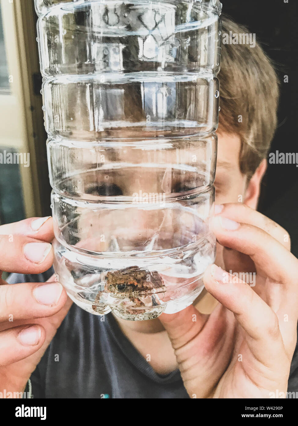 Un petit garçon observe une petite grenouille crapaud ou qu'il a capturés et placés dans une bouteille en plastique Banque D'Images