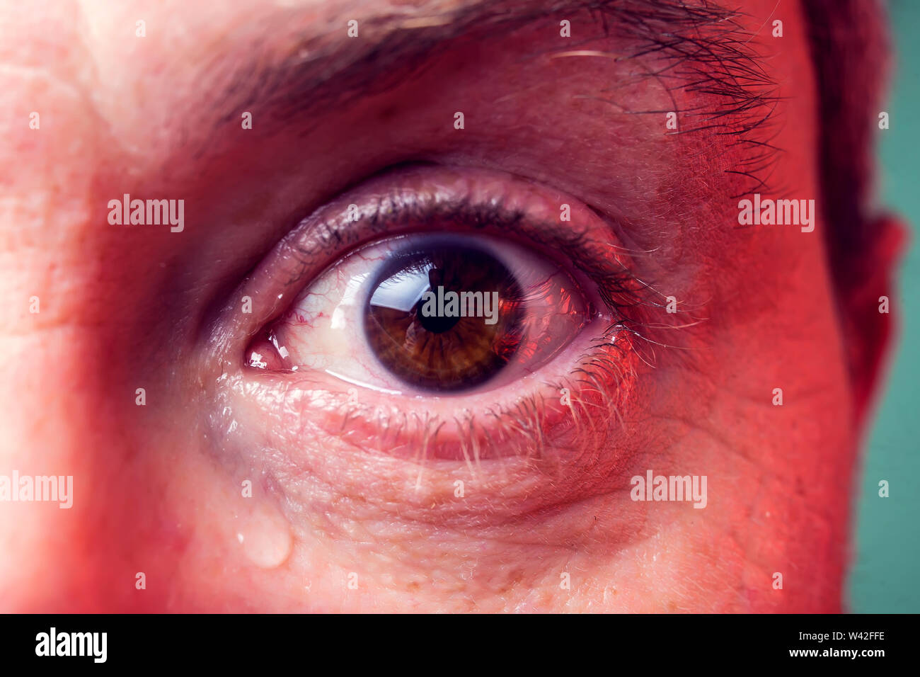 Close-up brown eye d'un homme avec une larme. Les gens, les émotions concept Banque D'Images