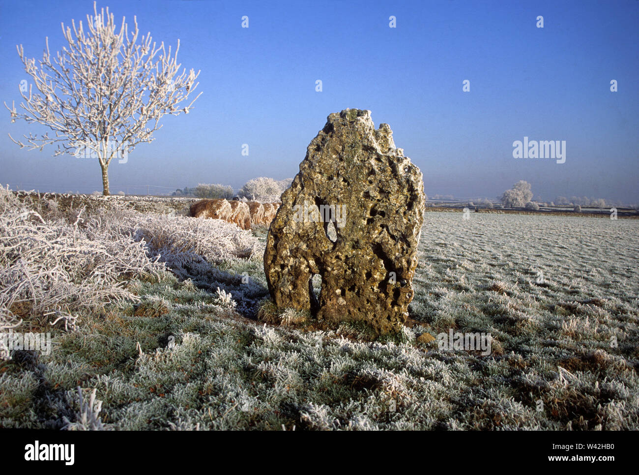 L'hiver dans la vallée de Avening, Glos, UK Banque D'Images