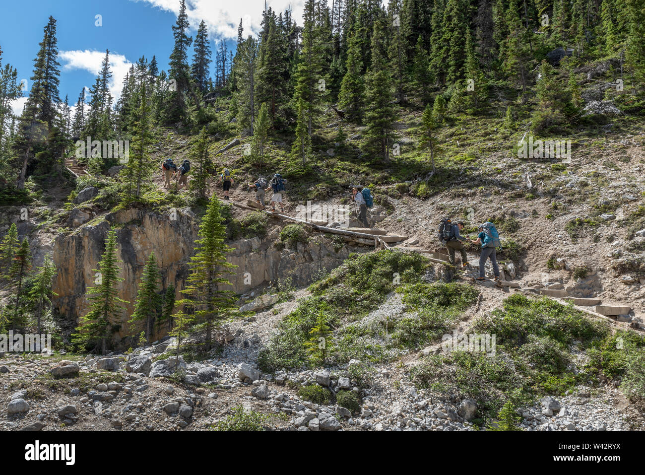 Pour le sentier de randonnée des chutes Bow, dans le parc national Banff, Alberta, Canada Banque D'Images