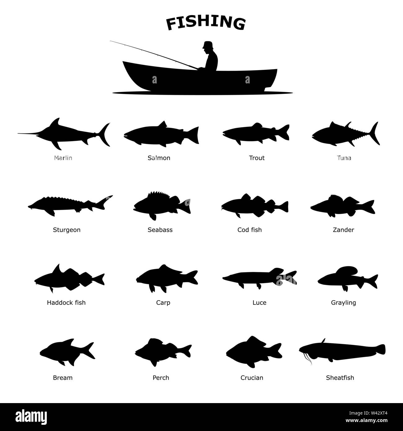 Ensemble de la mer Noire silhouette de poissons de rivière Illustration de Vecteur