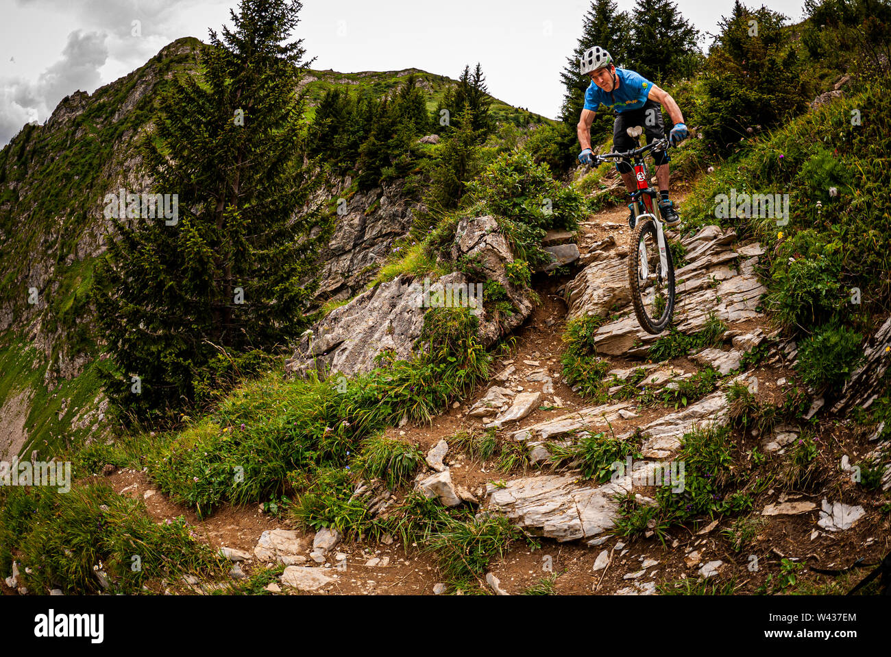 Un vélo de montagne équitation un difficile sentier alpin rocheux avec la forêt et les falaises en arrière-plan. Banque D'Images