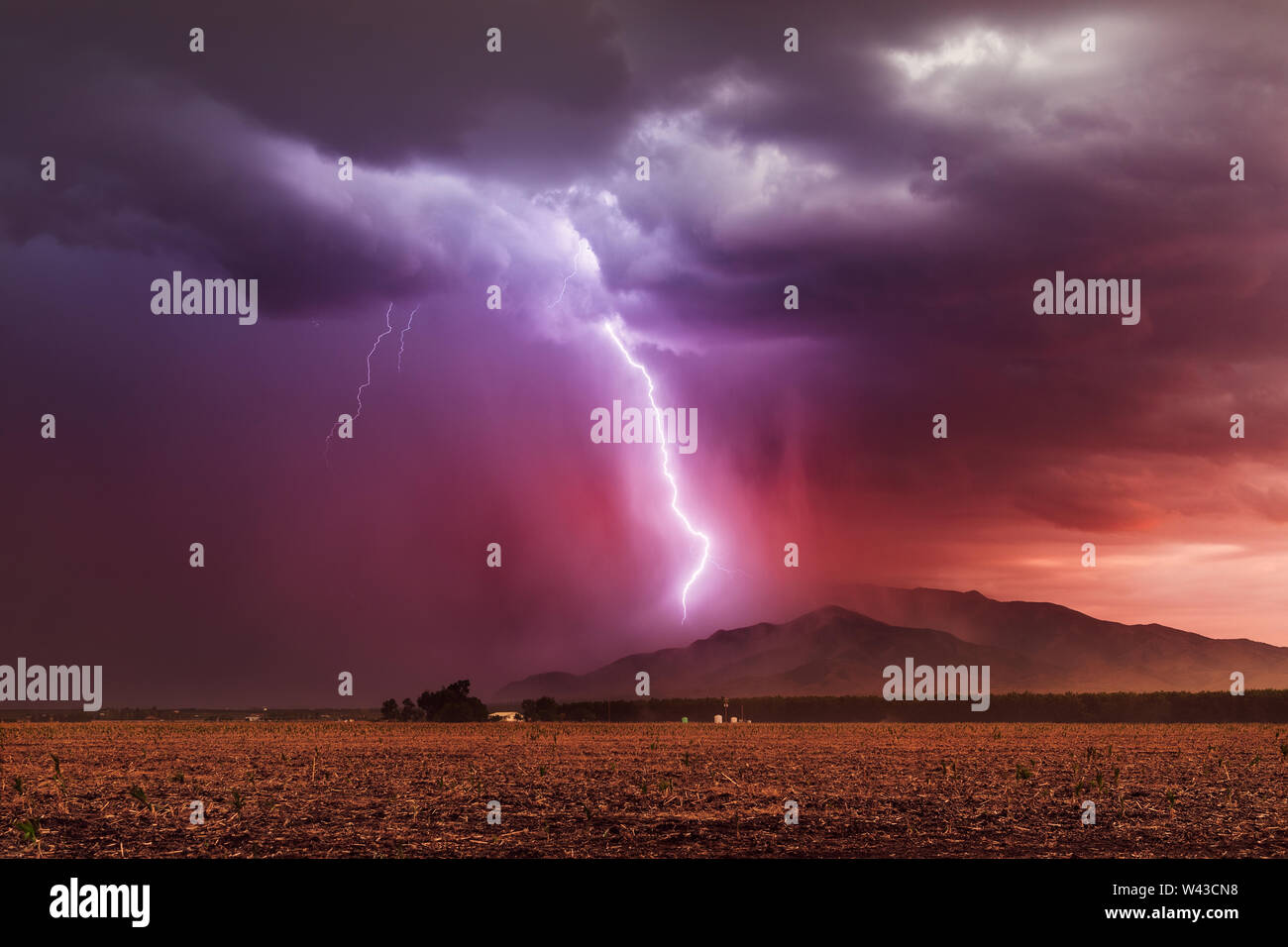La foudre frappe les montagnes Dragoon alors qu'une tempête de mousson traverse le sud-est de l'Arizona au coucher du soleil Banque D'Images