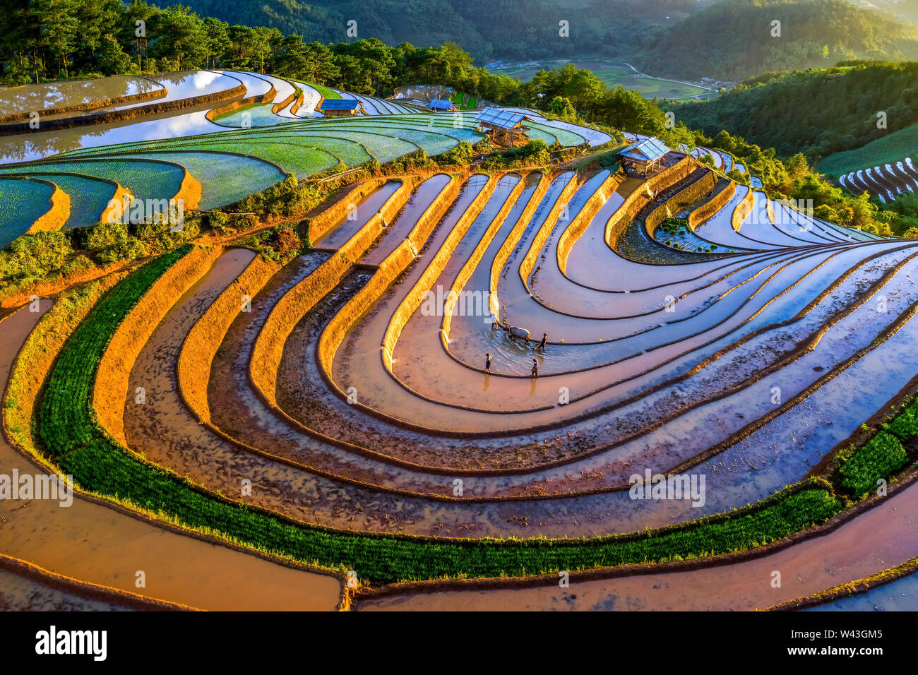 Sur les terrasses de riz et d'eau Mu Cang Chai, Yen Bai, Vietnam même patrimoine de rizières en terrasses d'Ifugao dans Batad, dans le nord de Luzon, aux Philippines. Vue aérienne Banque D'Images