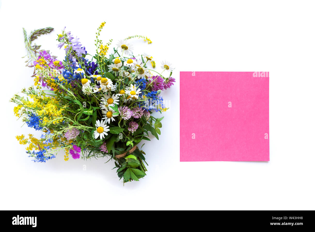Fleurs d'été. Bouquet de fleurs sauvages sur fond blanc et rose de l'espace, vue d'en haut. L'été ou à l'éco-concept de vie. Banque D'Images
