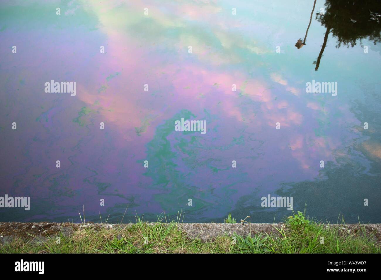 Motor oil slick sur canal, Oldbury, West Midlands. Banque D'Images