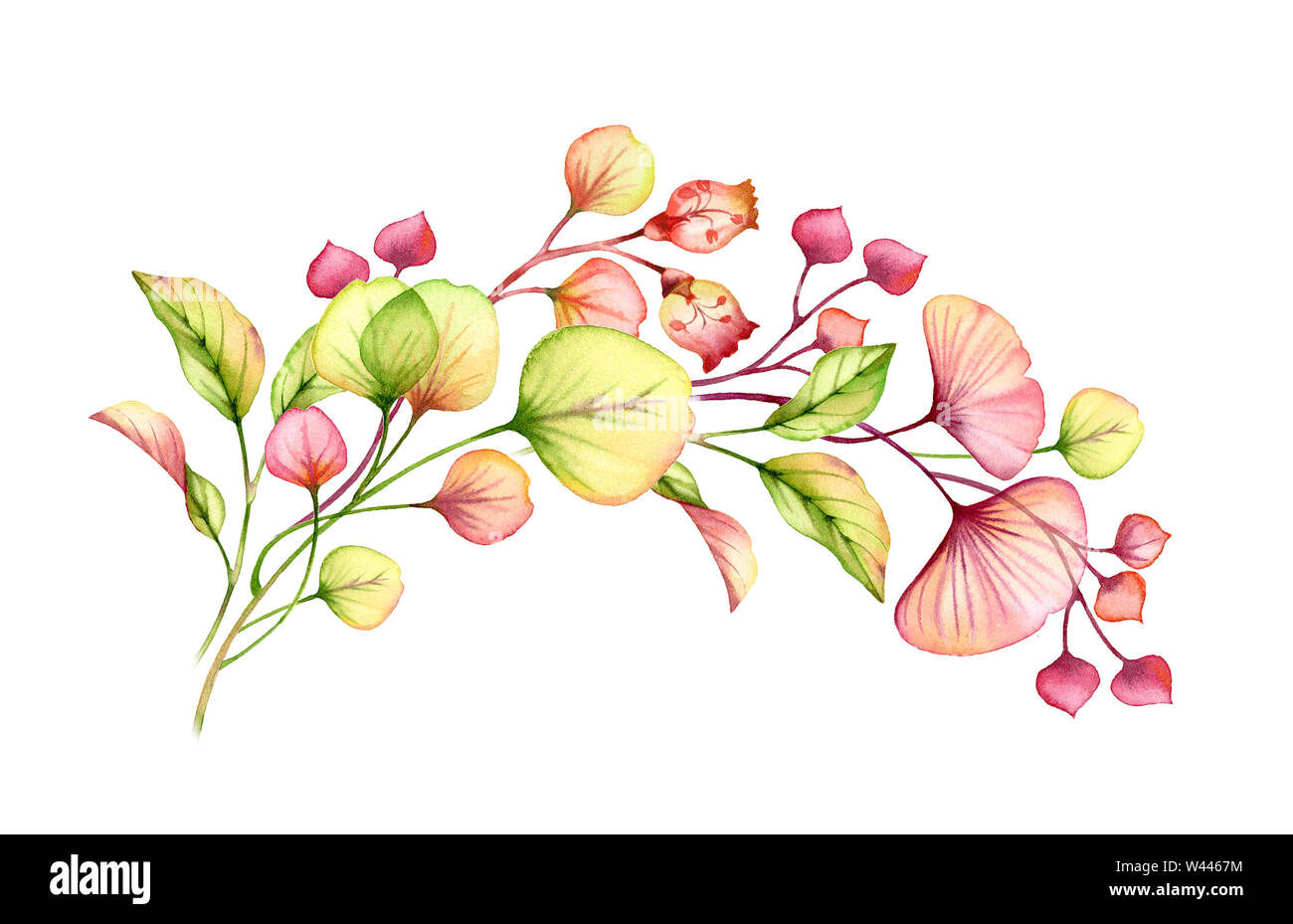 Arrangement floral transparent aquarelle peinte à la main de passage de feuilles, branches en rose pastel, corail rouge orange vert mariage illustration botanique Banque D'Images