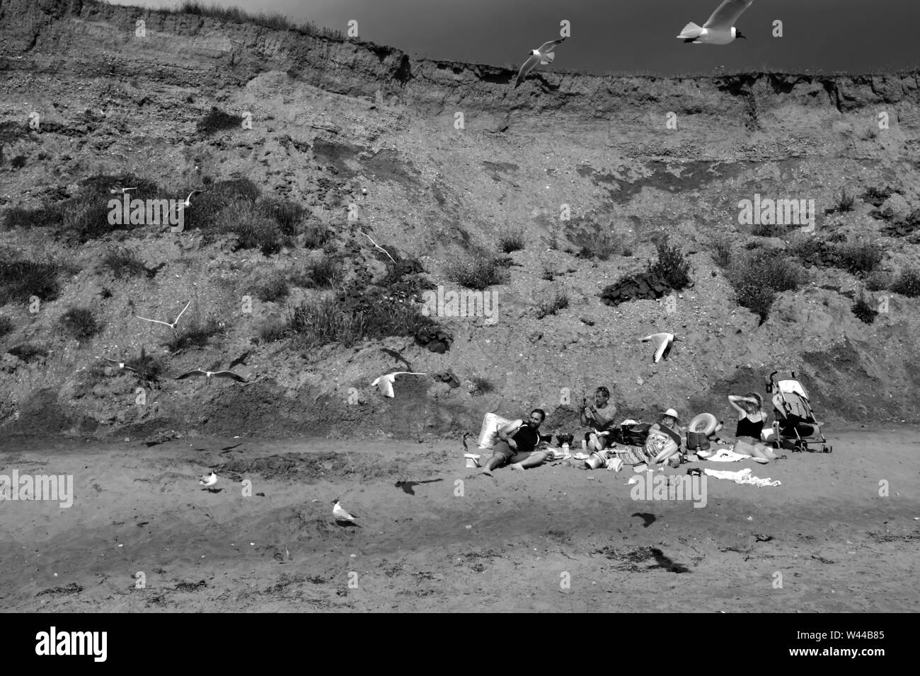 Un groupe d'amis ayant un pique-nique sur la plage de sable entourée par des charognards mouettes sur Compton Bay, île de Wight Banque D'Images