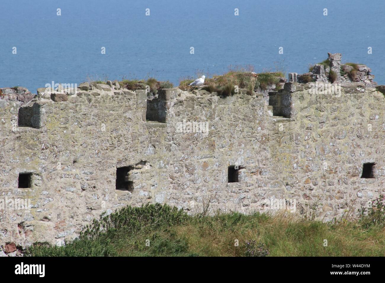 Dunnottar Castle, Scotland Banque D'Images