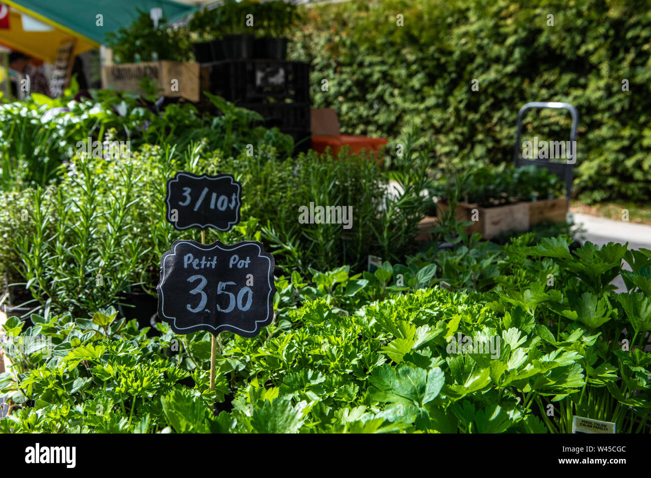 Un portrait de plantes en pot plantes comestibles affichée sur une foire agricole de plein air, wc séparés, étiquettes de prix et d'un feuillage vert sain avec de l'espace pour les copier vers la droite. Banque D'Images