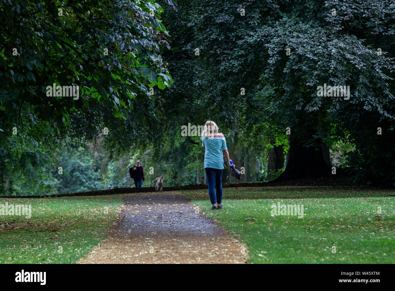 Northampton UK. 20 juillet 2019. Météo. Abington Park. Tôt le matin, promenade avec le chien, que la prévision est pour la pluie plus tard dans la journée. Credit : Keith J Smith./Alamy Live News Banque D'Images