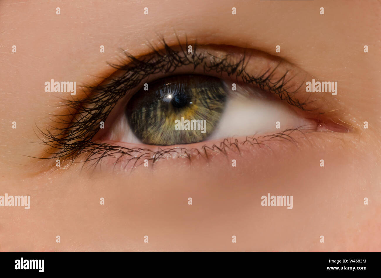 C'est une macro d'un œil humain. Banque D'Images