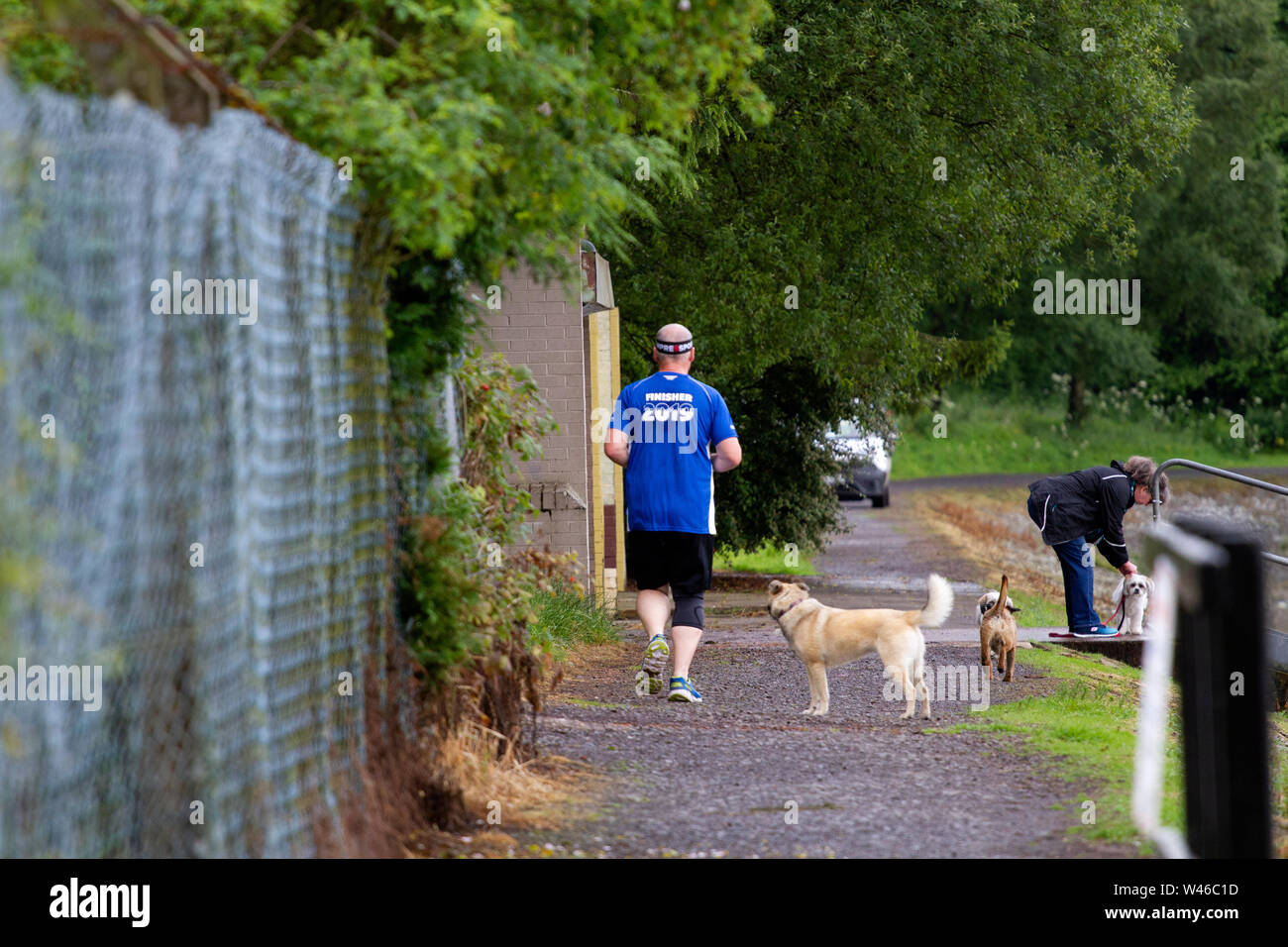 Tayside, Dundee, Ecosse, Royaume-Uni. 20 juillet, 2019. Météo Royaume-uni:nuageux et sombre pour commencer la matinée avec des éclosions de pluie de plus en plus lumineux, avec éclaircies par l'après-midi, des températures atteignant 21°C. Une bonne journée pour les joggeurs et les promeneurs de chiens à Clatto Country Park à Glasgow, Royaume-Uni. Credit : Dundee Photographics / Alamy Live News Banque D'Images