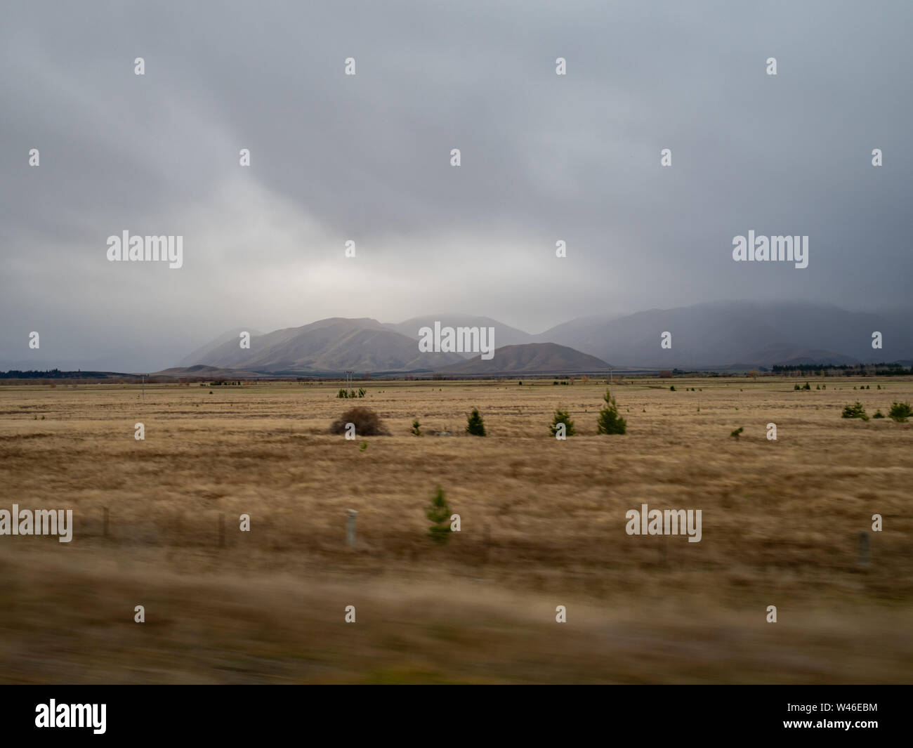 La prairie de l'automne en Nouvelle Zélande l'île du Sud, en vue de la nuée couvrit la montagne au loin, près de Wanaka Banque D'Images