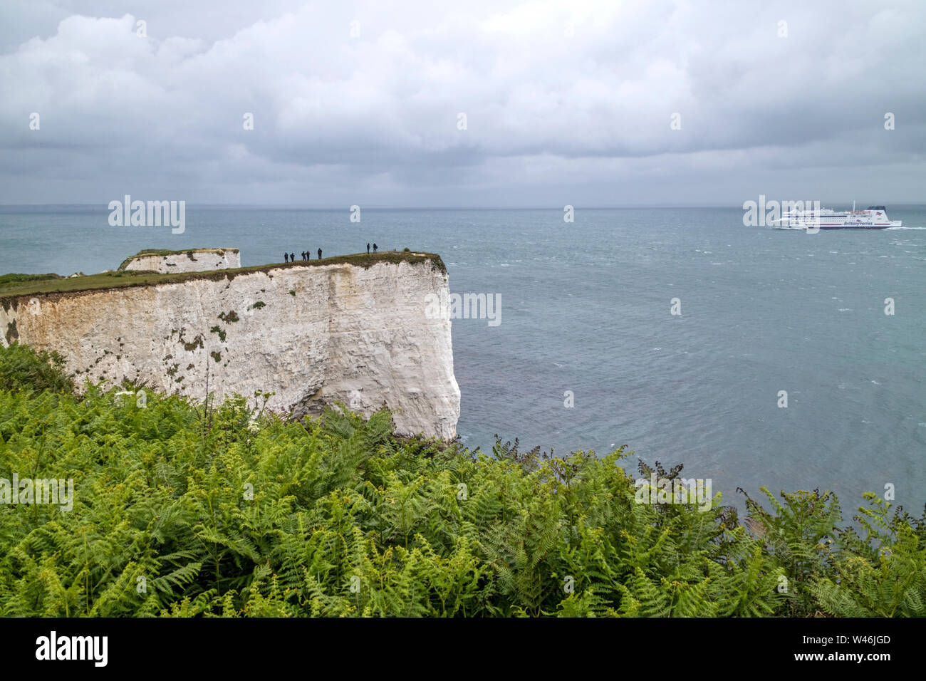 Falaises de craie de Ballard sur la côte du Dorset, Angleterre, RU Banque D'Images
