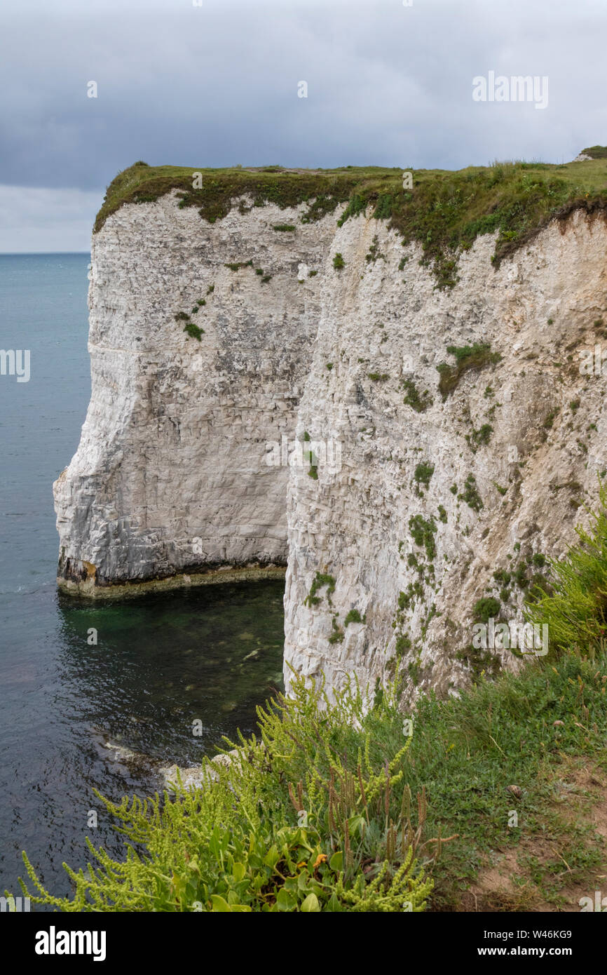 Falaises de craie de Ballard sur la côte du Dorset, Angleterre, RU Banque D'Images