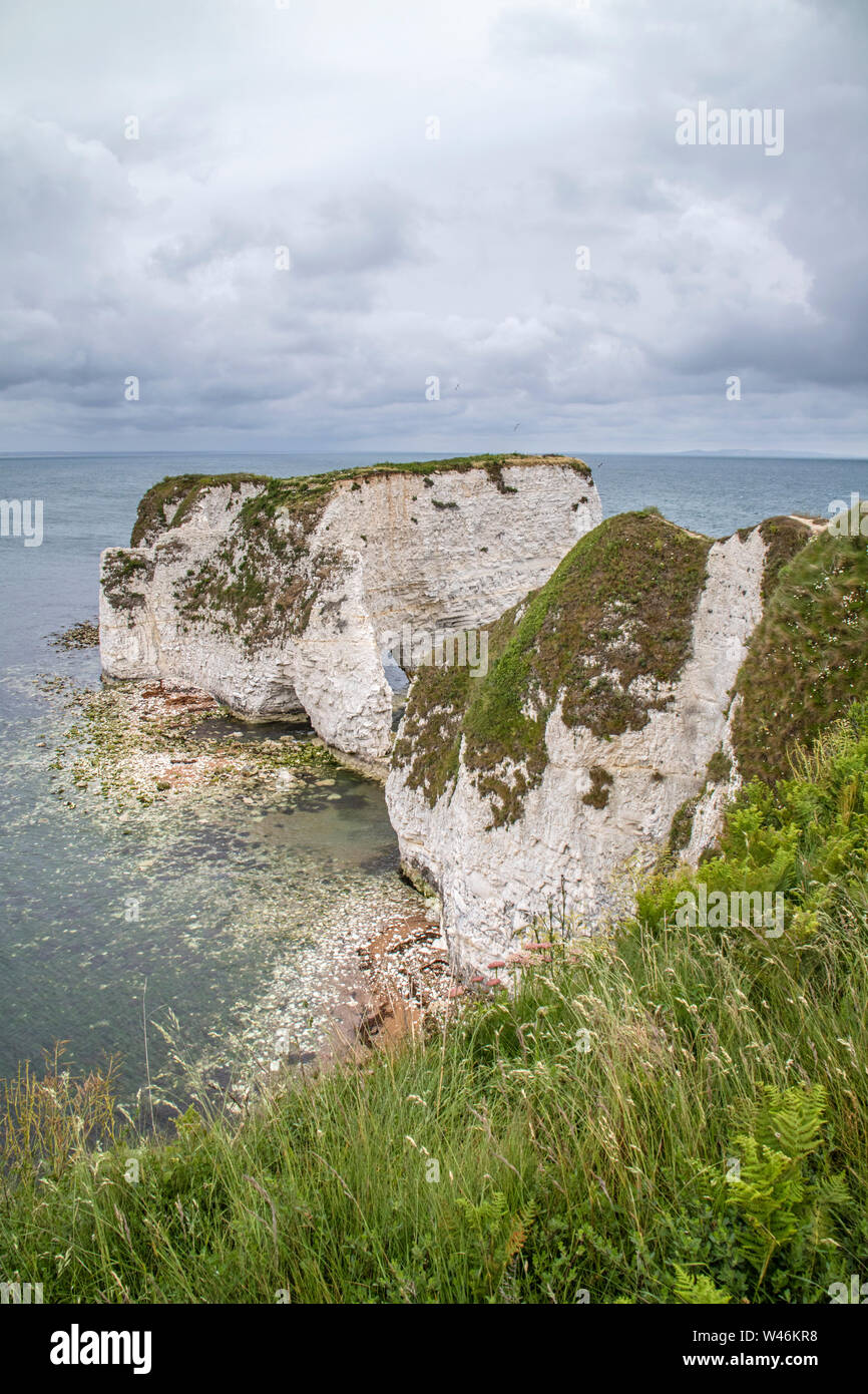 Falaises de craie de Ballard sur la côte du Dorset, Angleterre, RU Banque D'Images