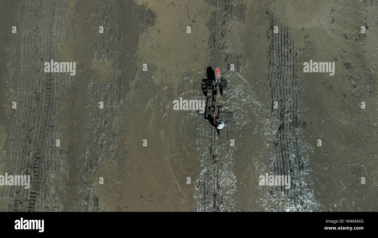 Façon traditionnelle de labourage des rizières à Bali, Indonésie. Vieille charrue à main mécanique, pas de saison agricole, domaine dans la boue. Drone Vue de dessus. Banque D'Images