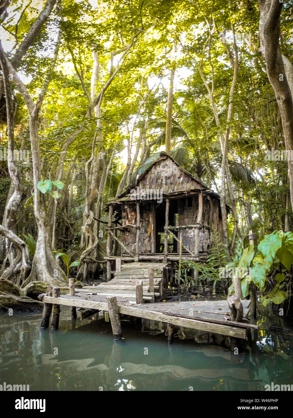 Cabane en bois sur l'île de la Dominique dans la mer des Caraïbes Banque D'Images