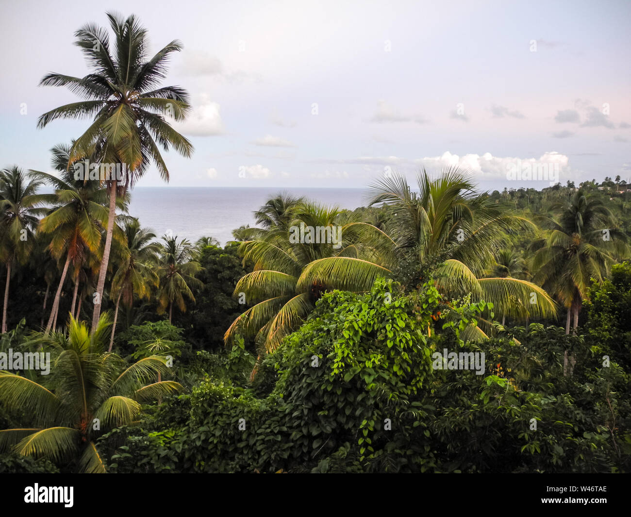 L'île de la Dominique dans la mer des Caraïbes Banque D'Images