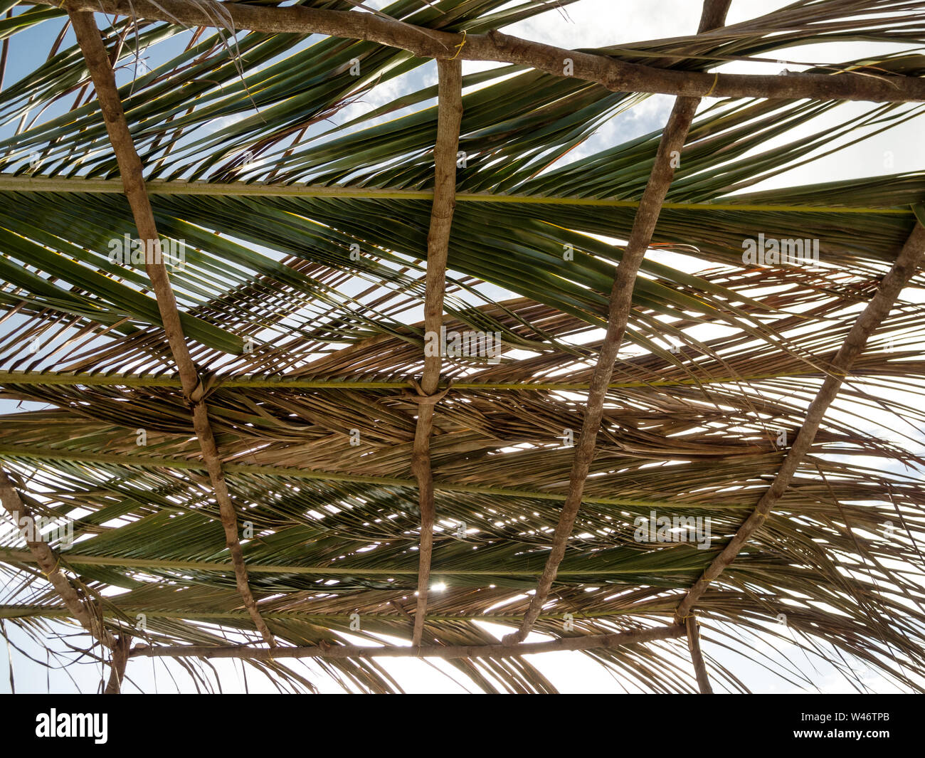 Vue de la plage sur l'île de la Dominique dans la mer des Caraïbes Banque D'Images