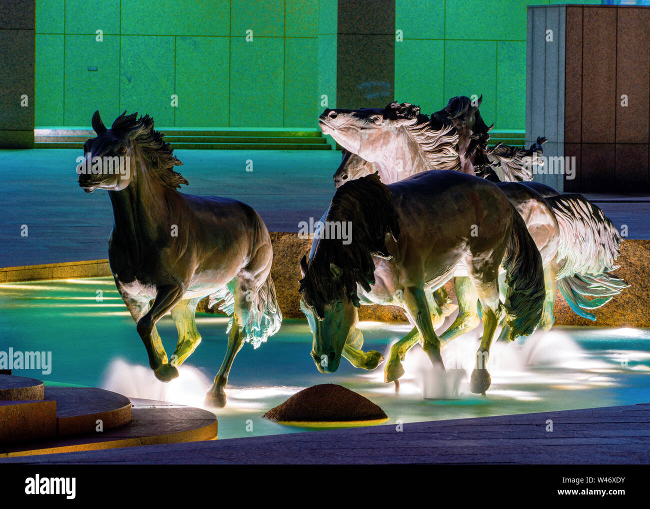 Les Mustangs os Las Colinas de nuit. Banque D'Images