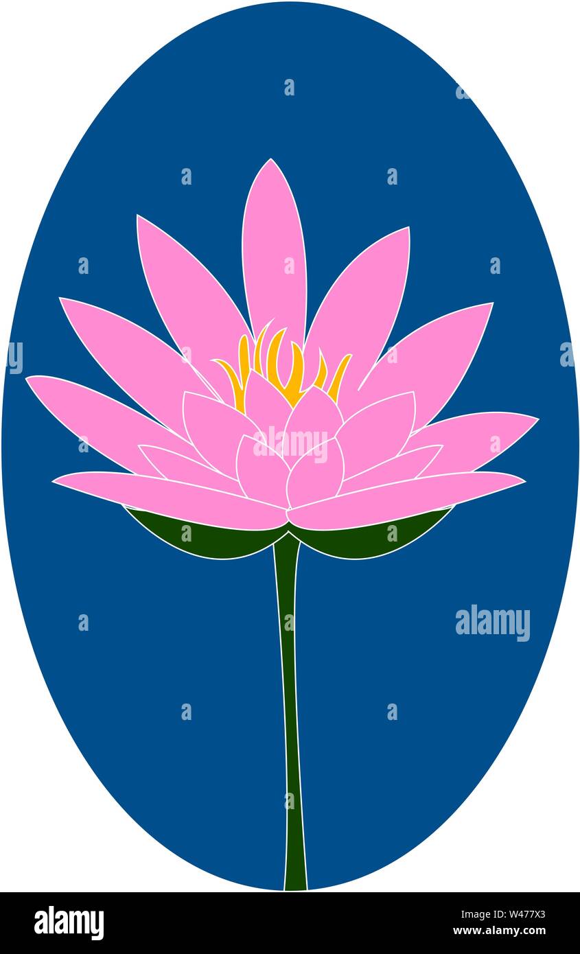 Lotus rose, illustration, vecteur sur fond blanc. Illustration de Vecteur