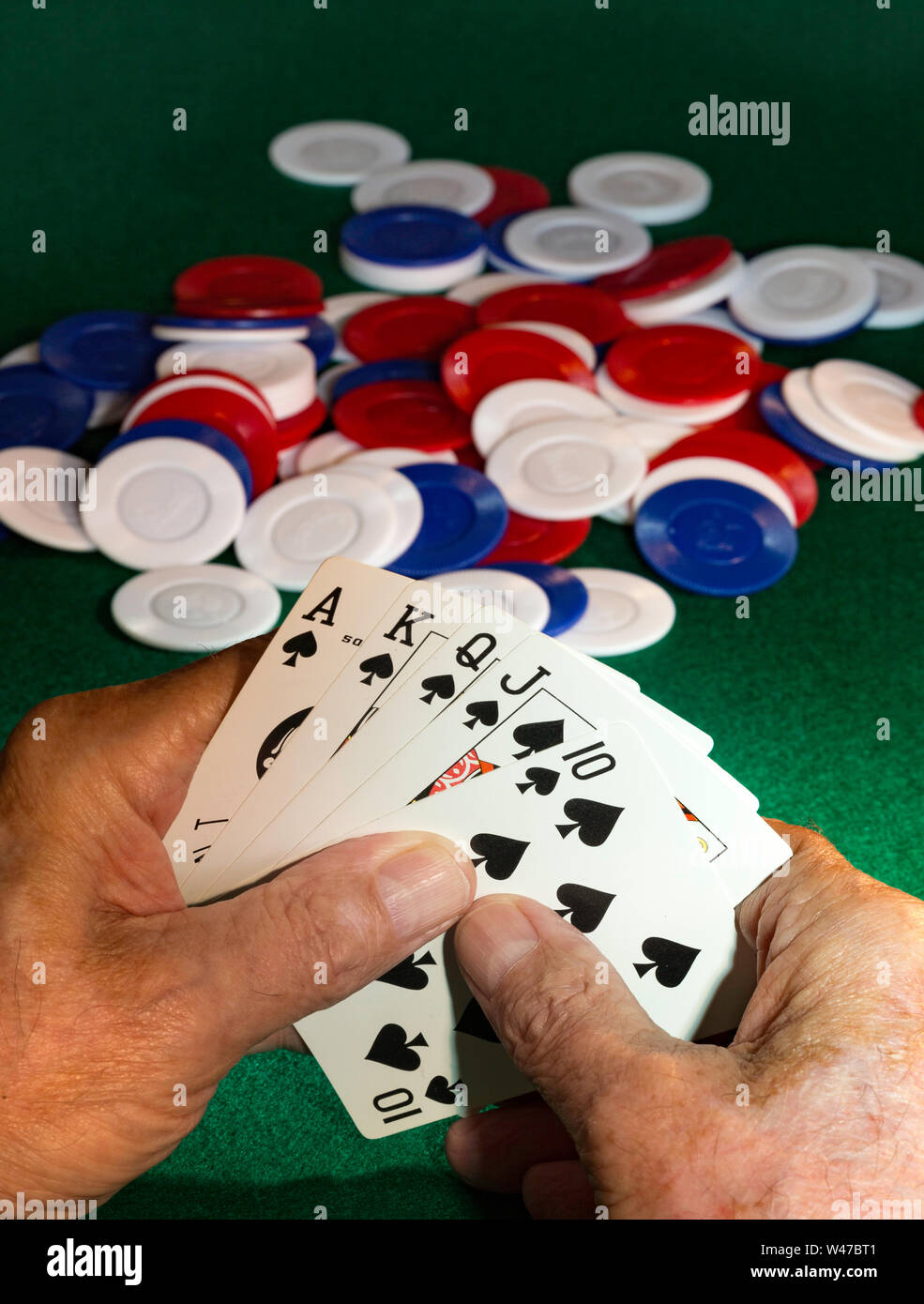 Five Card Stud Poker Hand,Chat Royal Flush Banque D'Images