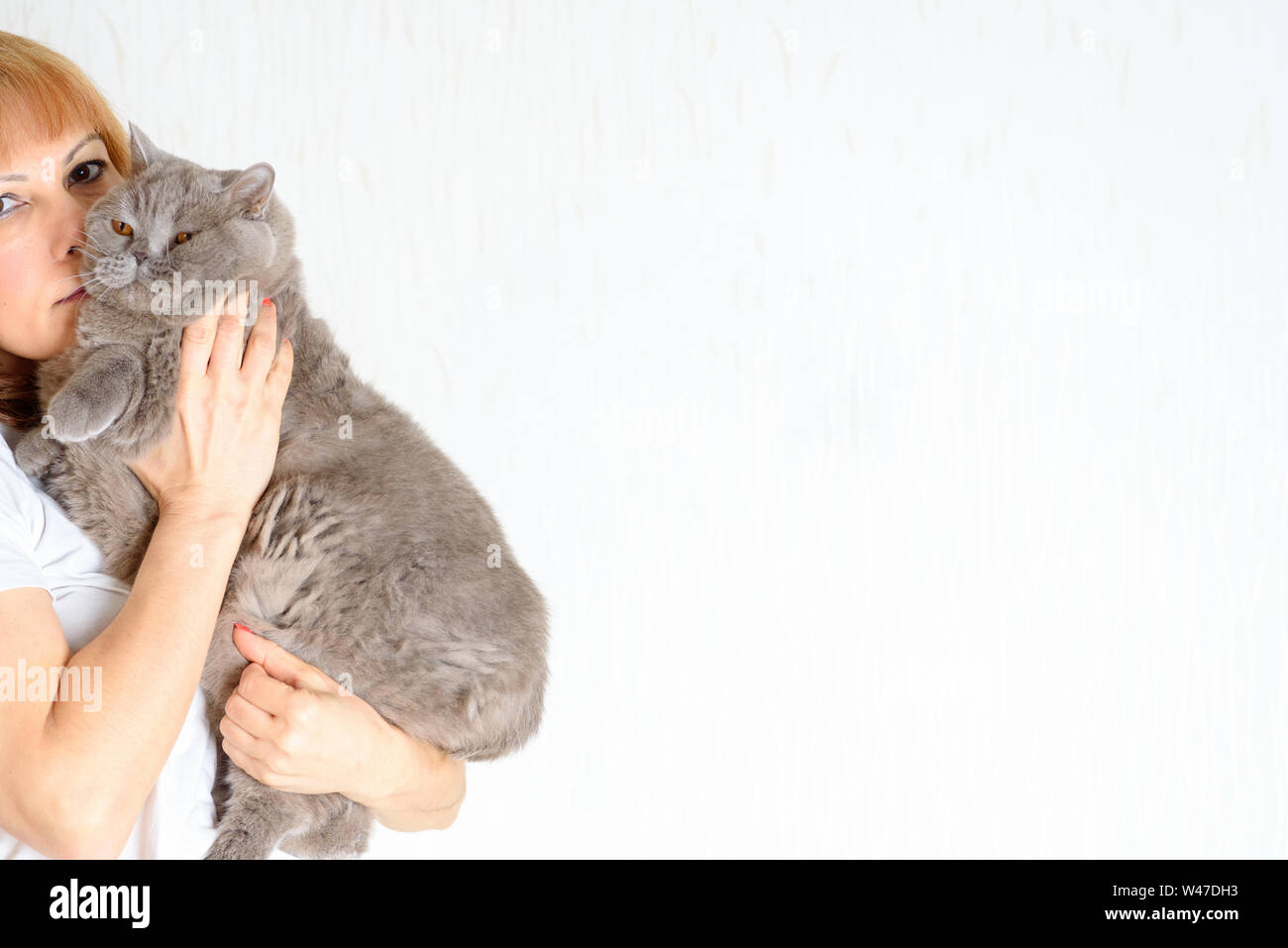 Cheveux rouge blonde mature senior woman relaxing at home holding et mignon huging chat ronronnant. Belle femme d'âge moyen avec de gros chat British Shorthair Banque D'Images