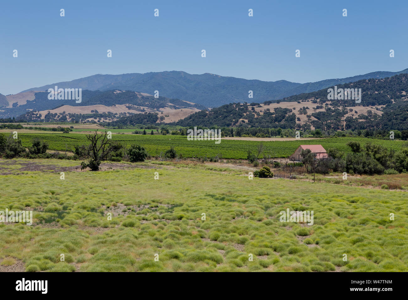 Paysage de la vallée de Santa Ynez dans Santa Barbara County, Californie, entre les montagnes de Santa Ynez et les montagnes de San Rafael. Banque D'Images