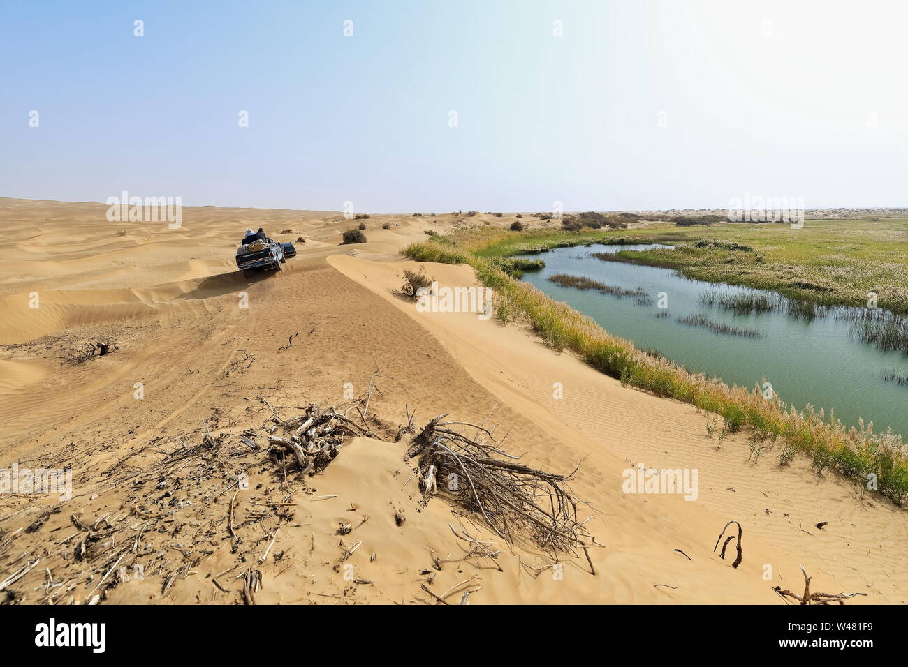 Rivière Keriya qui coule N.into le désert de Taklamakan. Région Du Xinjiang Uyghur-Chine-0353 Banque D'Images