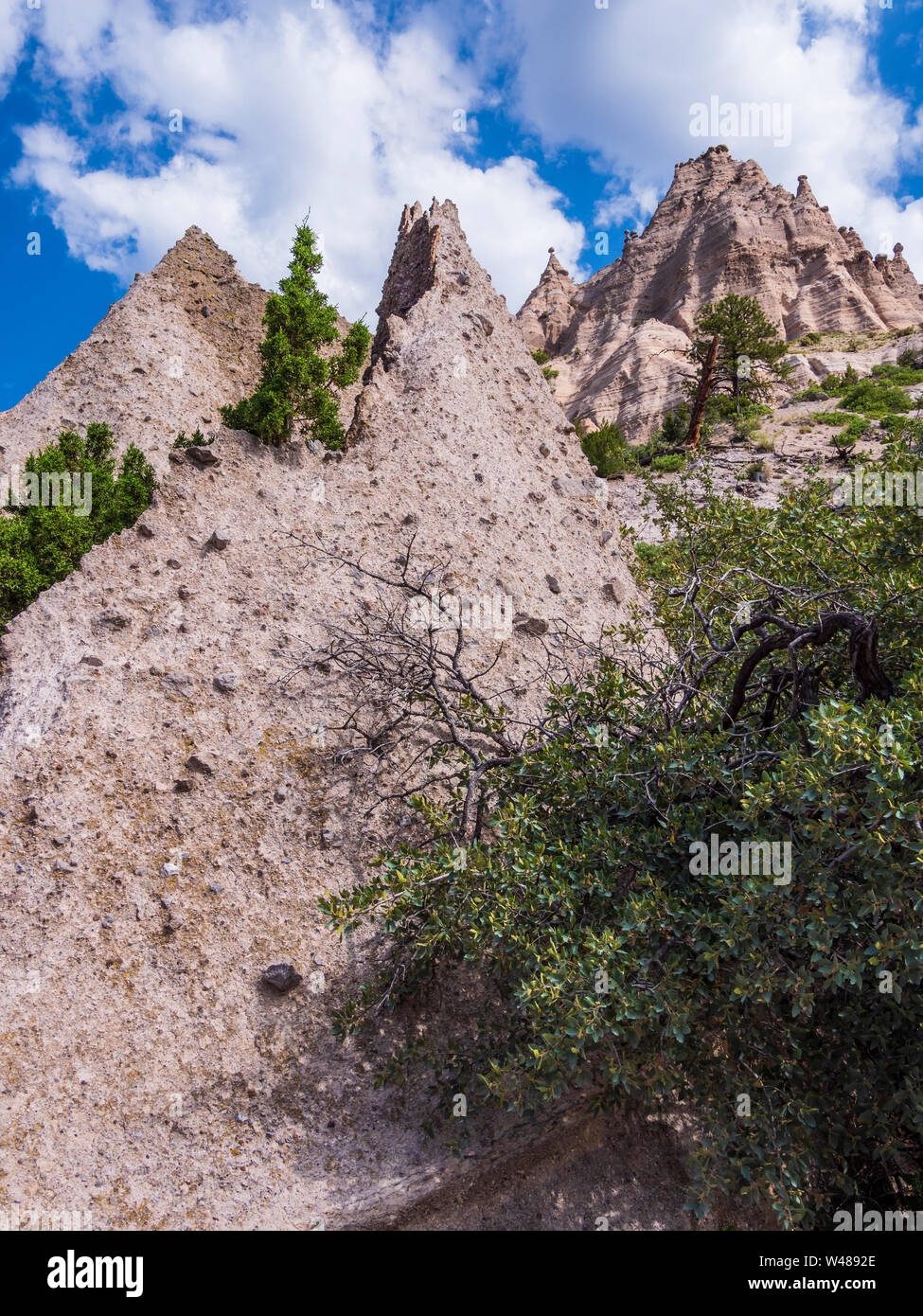 Les falaises, les tentes et les cheminées, Kasha-Katuwe Tent Rocks National Monument. Le Nouveau Mexique. Banque D'Images