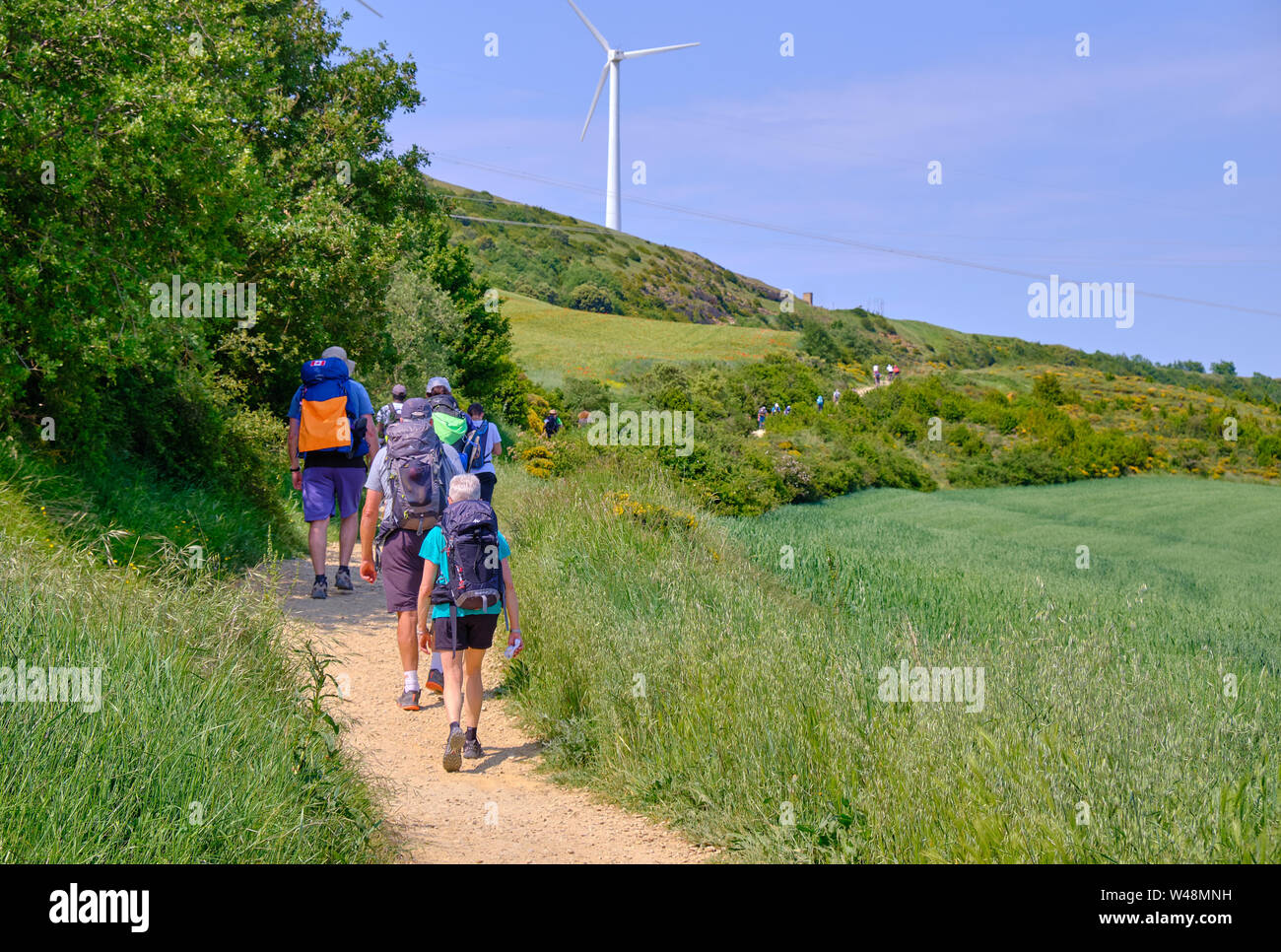 Longue file de pèlerins marcher jusqu'à l'Alto del pardon sur le Camino de Santiago. Juin 2019 L'Espagne Vue de l'arrière Banque D'Images