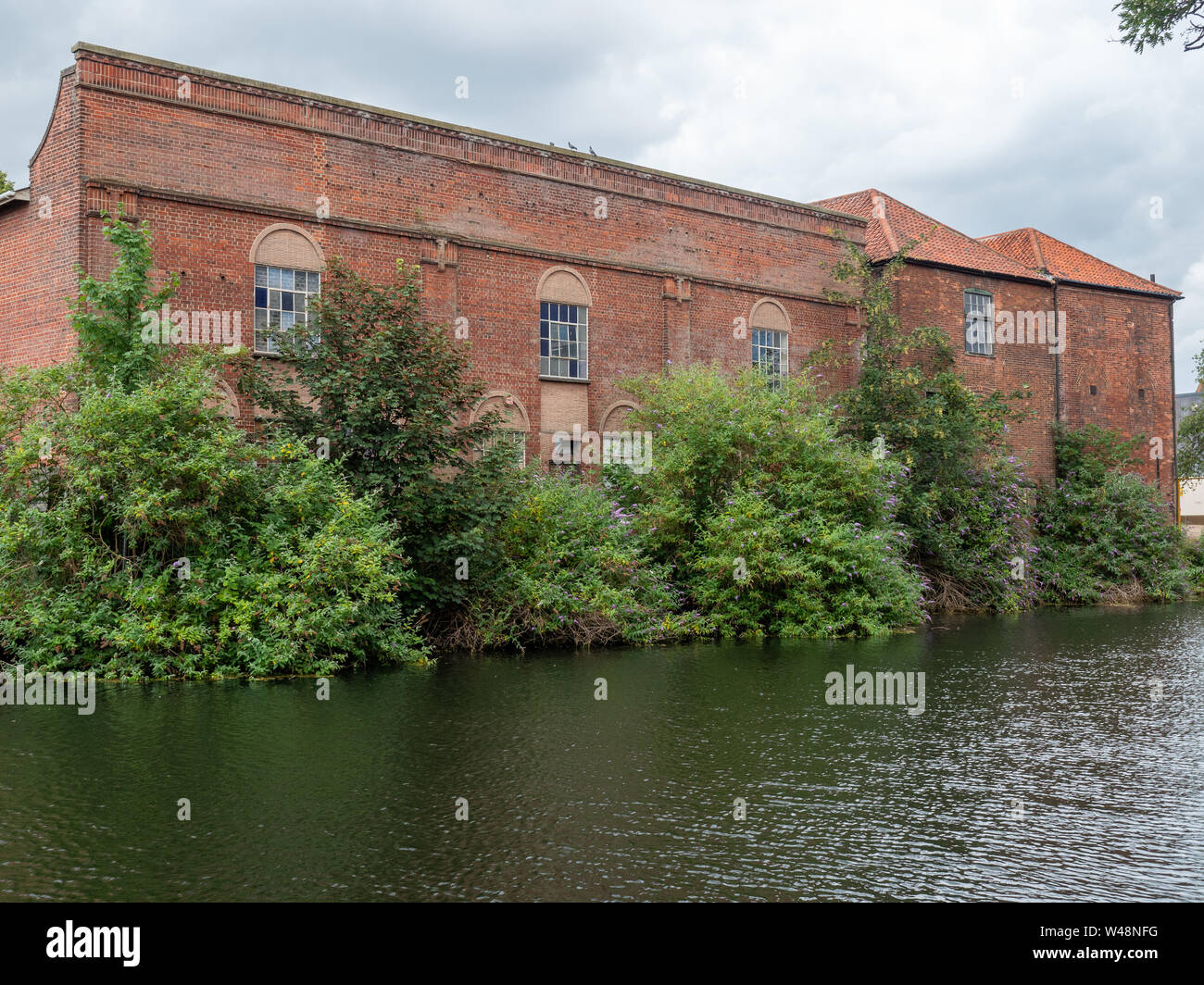 Un bâtiment en brique rouge à l'abandon sur les rives de la rivière Wensum dans Notwich, avec le feuillage en croissance sur elle Banque D'Images