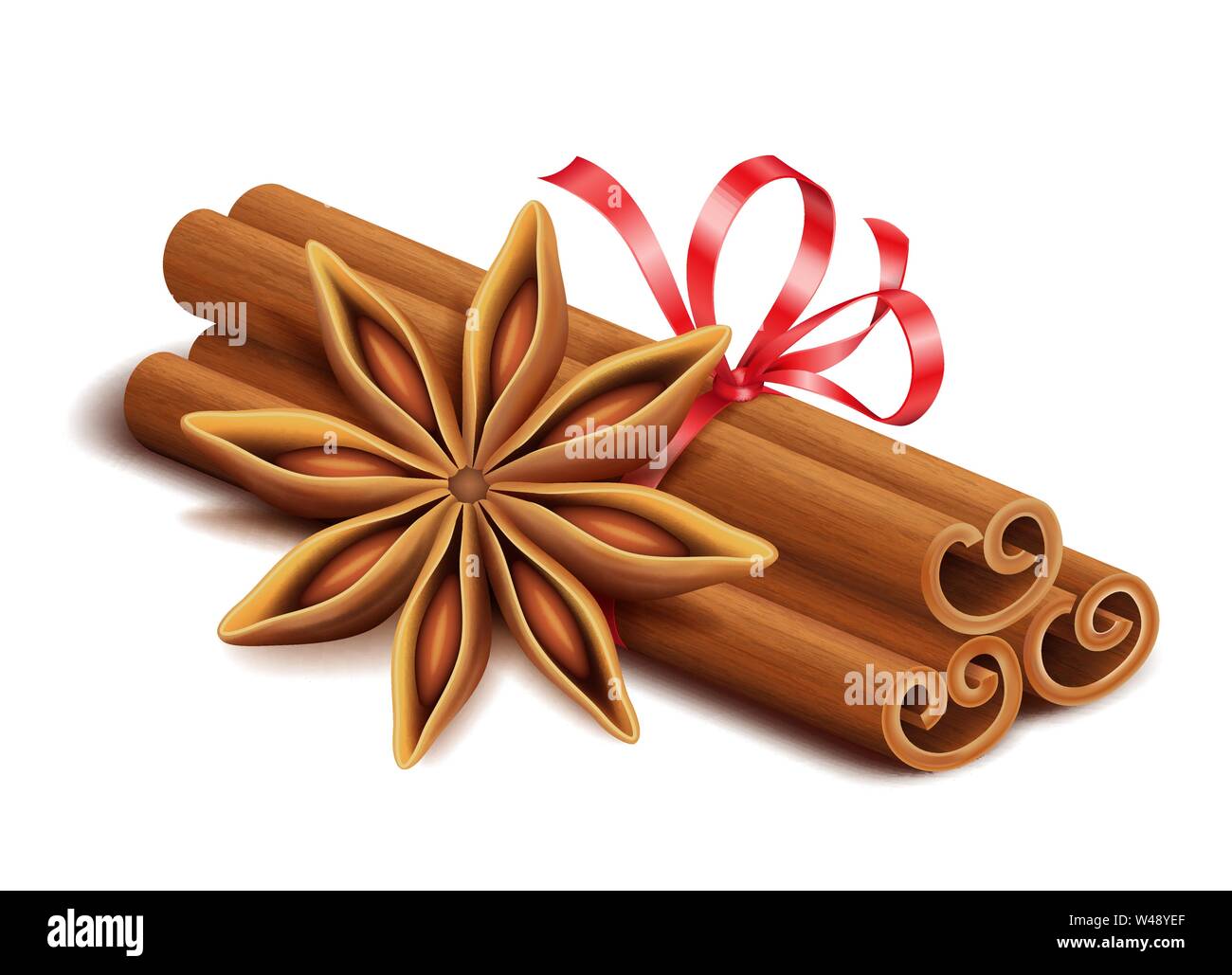 Réaliste d'épices, des bâtons de cannelle et anis isolé star Illustration de Vecteur