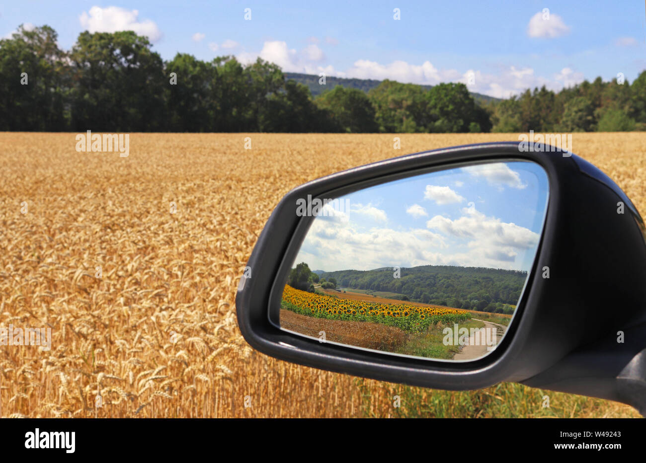 Vue de la fenêtre latérale d'une voiture à un champ de grain de couleur or et à l'arrière-vue mirrow montrant un paysage magnifique avec des tournesols Banque D'Images
