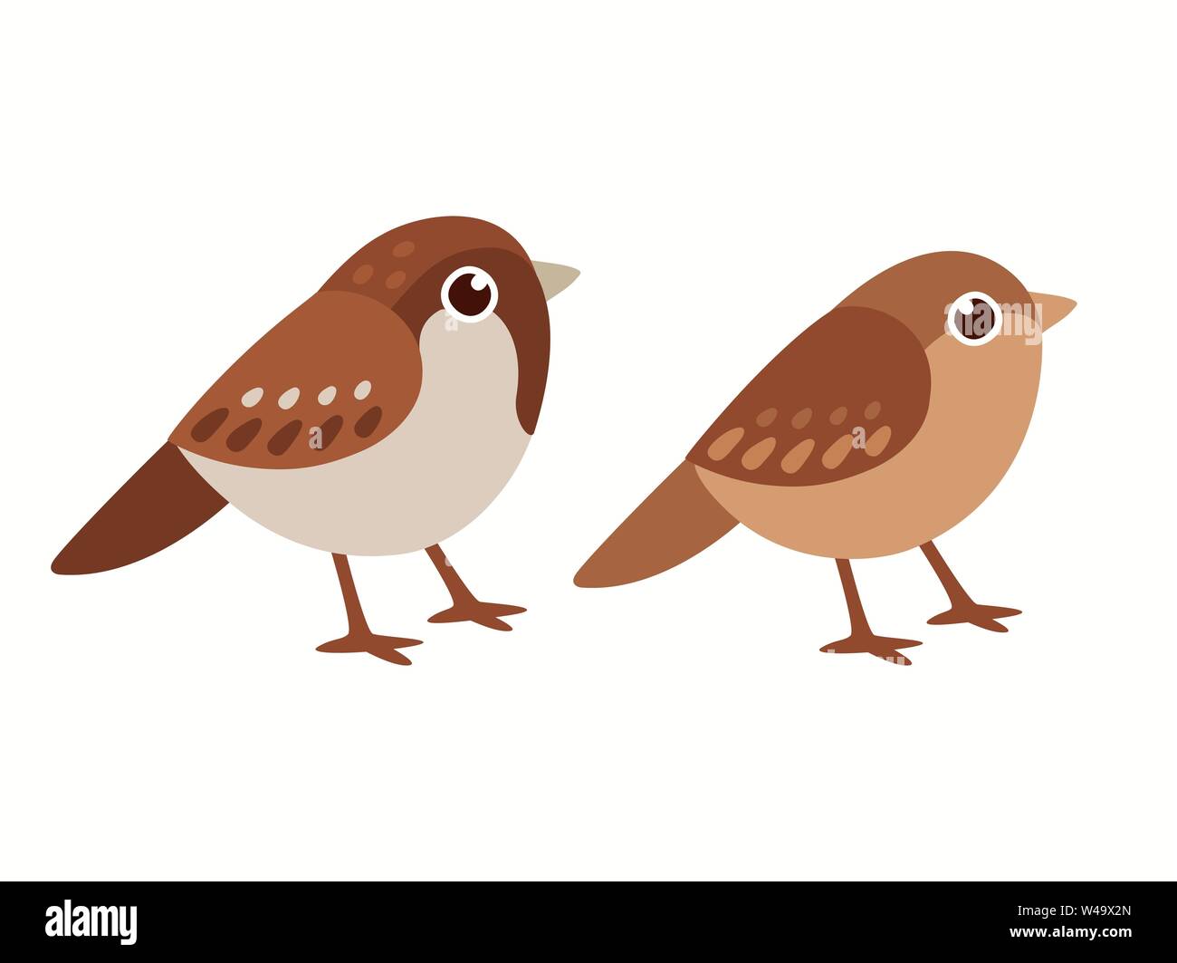 Moineau domestique commun couple, mâle et femelle. De petits oiseaux dans cute cartoon style. Vector clip art illustration isolé. Illustration de Vecteur
