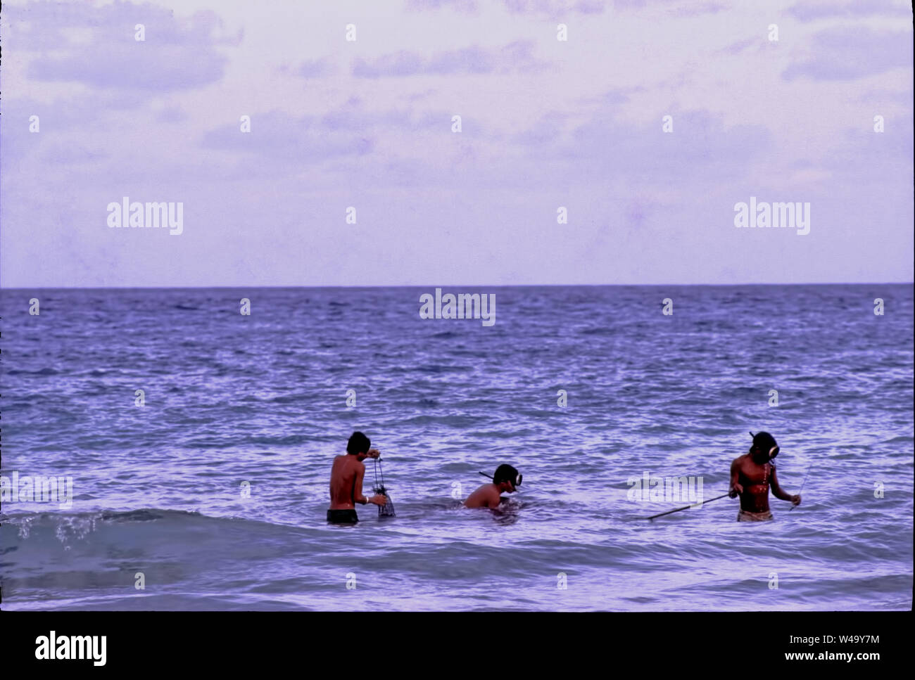 Location Cruz,jeunes coquilles de mer pêche,par la plongée,un mode de vie, Voiture Nocobar, island, A & N,l'Inde. Banque D'Images