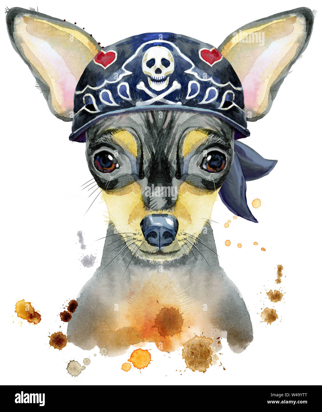Cute Dog wearing bandana biker. T-shirt chien graphiques. aquarelle toy terrier illustration Banque D'Images