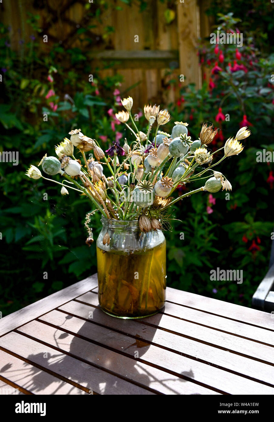 Les fleurs séchées et écran, y compris les graines de têtes de pavot dans un vase à l'extérieur dans un jardin Banque D'Images