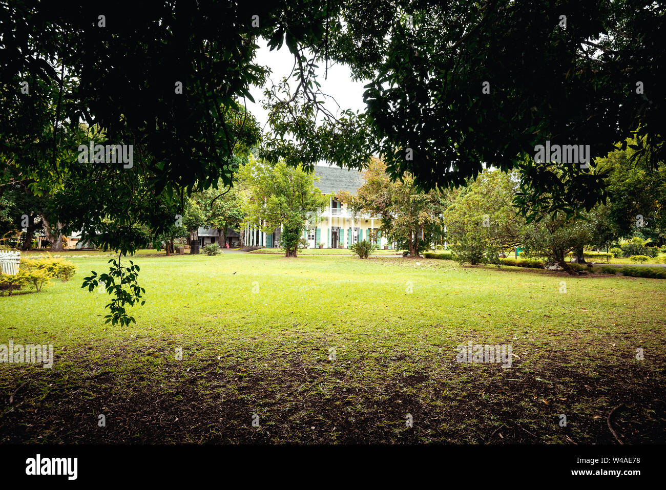 Sir Seewoosagur Ramgoolam Botanical Garden sur l'île paradisiaque de l'île Maurice. La tonalité de l'image. Banque D'Images