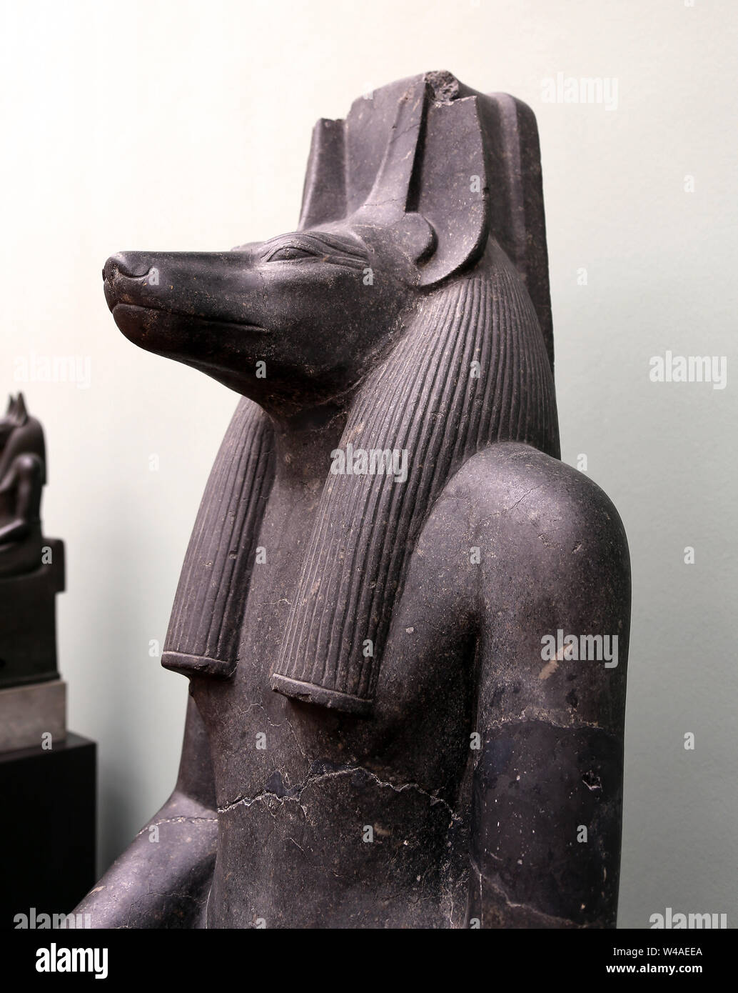 Chef d'Anubis, le chacal-dirigé. Dieu de l'embaumement. Temple de Luxor, règne d'Aménophis III (1403-1365 avant J.-C.). Diorite. Détail de la statue. Banque D'Images