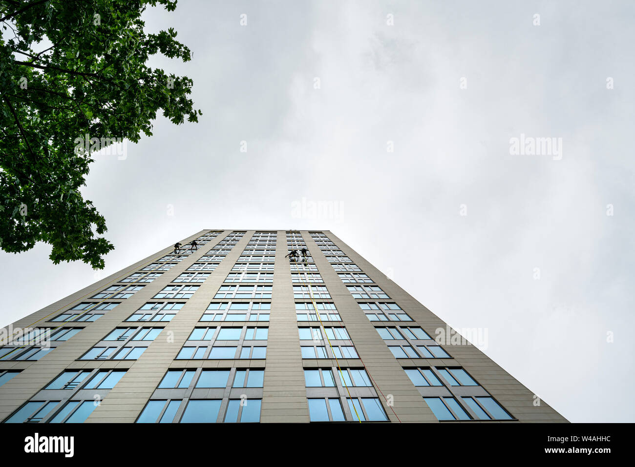 Frankfurt am Main, juillet 2019. Certains travailleurs nettoyant vitre avec une corde suspendue sur un gratte-ciel Banque D'Images
