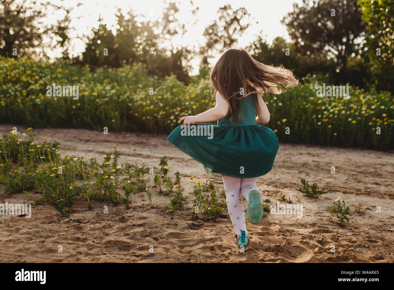 Petite fille faisant tournoyer sa robe dans le rétroéclairage et champ de fleurs Banque D'Images