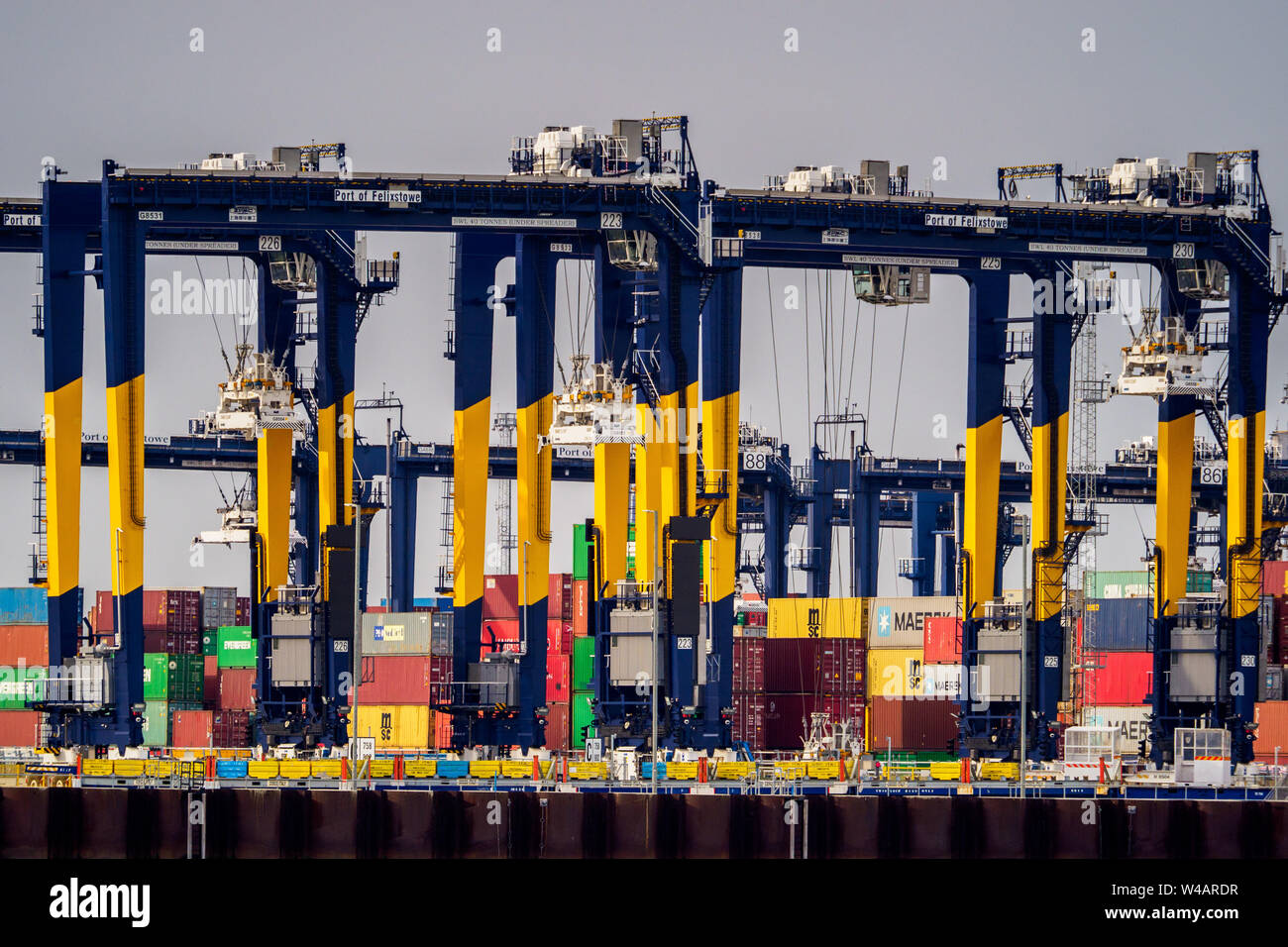 Traitement des conteneurs au port de Felixstowe, le plus grand port à conteneurs. Les conteneurs sont chargés sur des trains de conteneurs pour le transport en commun. Banque D'Images